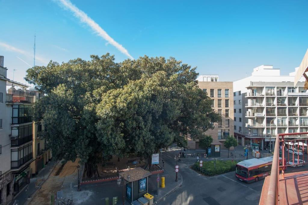 Penthouse!!! Center Of Seville!!! 2 Bedroom + 2 Bath!!! * Sevilla
