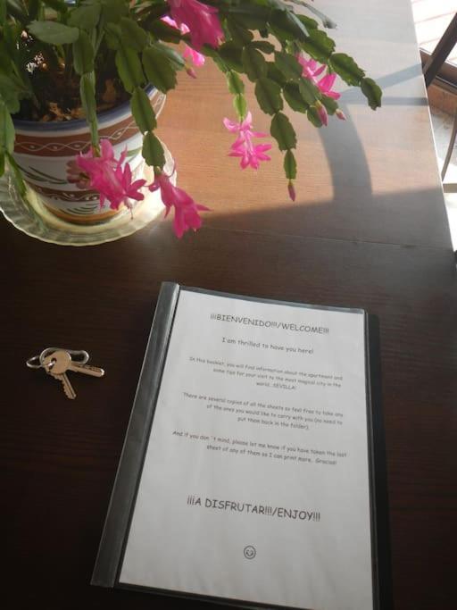 Penthouse!!! Center Of Seville!!! 2 Bedroom + 2 Bath!!! Apartment Sevilla
