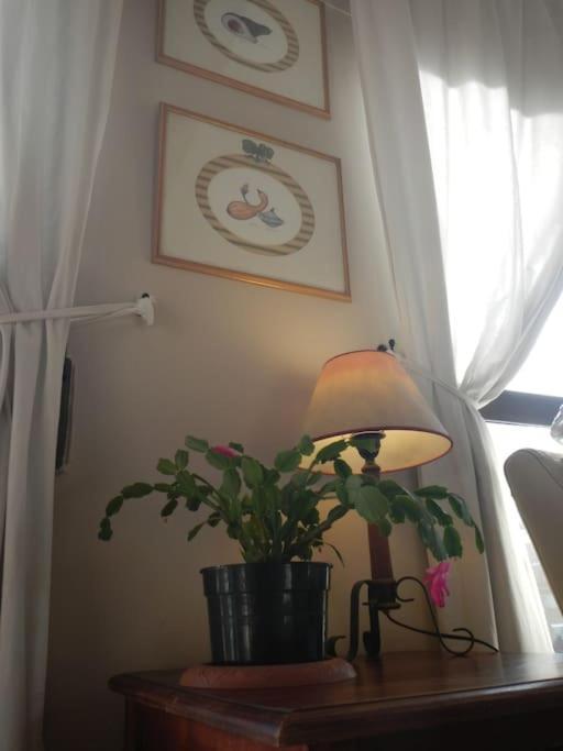 Penthouse!!! Center Of Seville!!! 2 Bedroom + 2 Bath!!! * Sevilla